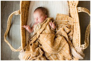 newborn baby in moses basket